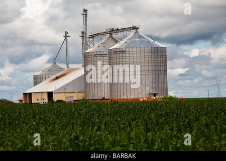 L'agriculture de plantation de maïs et silos BR 163 route de l'État du Mato Grosso au Brésil Banque D'Images