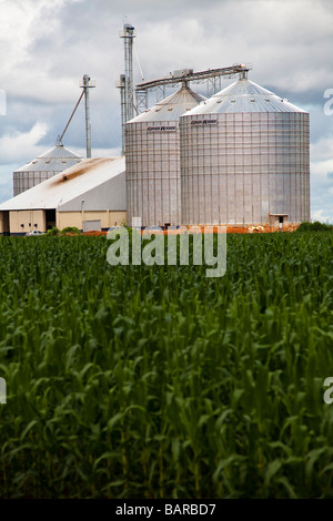 L'agriculture de plantation de maïs et silos BR 163 route de l'État du Mato Grosso au Brésil Banque D'Images