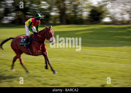 Point à l'autre course à cheval Surrey Godstone Banque D'Images