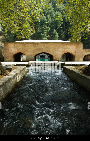 Cours d'eau de la source d'une rivière, de la rivière Jhelum, Jammu-et-Cachemire, l'Inde Banque D'Images