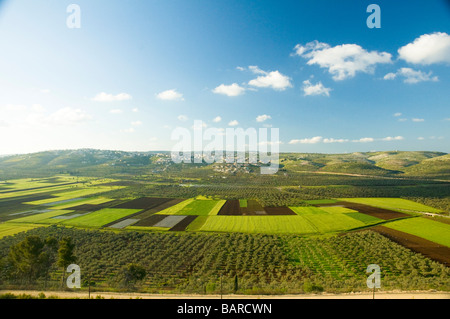 Israël Cisjordanie Champs agricole de la vallée de Dotan Samarie Banque D'Images