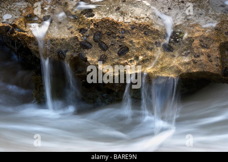 L'eau de mer sur les roches calcaires à Trigg Beach à Perth, Australie occidentale. Pour illustrer l'érosion de l'eau de mer. Banque D'Images