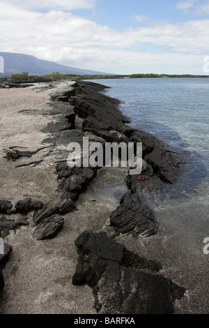 Punta Espinoza, Fernandina (Narborough) Island, îles Galapagos, Equateur, Amérique du Sud Banque D'Images