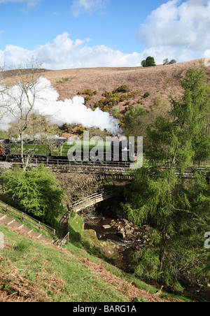 Locomotive vapeur 60163 Tornado vu à l'arche de l'eau sur le North York Moors railway, England, UK Banque D'Images