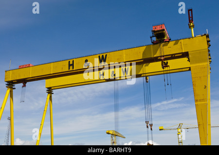 Samson et Goliath, le fameux yellow à grues Harland and Wolff, à Belfast Banque D'Images