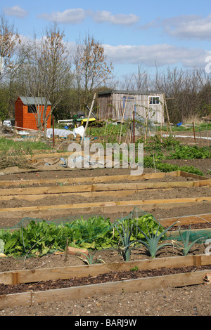 Jardins d'attribution dans le Nottinghamshire, Angleterre, Royaume-Uni Banque D'Images