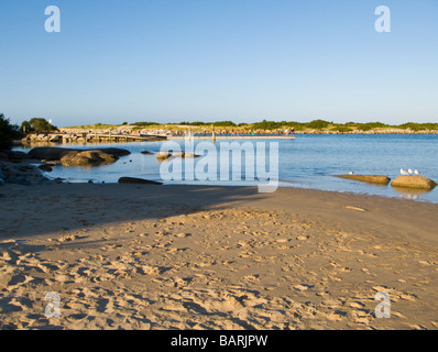 La Tasmanie Australie Bridport Estuaire Banque D'Images
