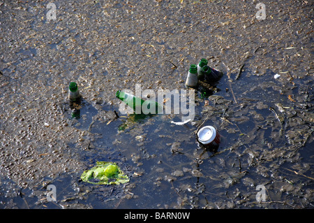 Les ordures dans l'eau, l'étang sud, Midhurst, West Sussex, Angleterre, Royaume-Uni Banque D'Images