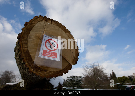 Panneau d'avertissement sur cut log indique ne pas monter sur les piles de bois Banque D'Images