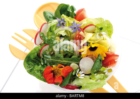 Salade Mixte avec fleurs comestibles, elevated view Banque D'Images