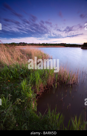 Soirée à l'Extrême Ings Réserve naturelle nationale en Amérique du Lincolsnhire détenue et dirigée par la fiducie de la faune du Lincolnshire Banque D'Images