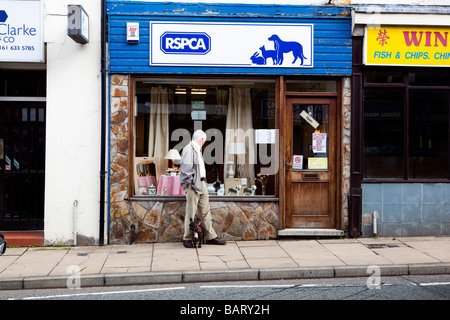 Homme avec petit chien à la céramique à un chat dans la fenêtre du magasin de charité RSPCA Banque D'Images