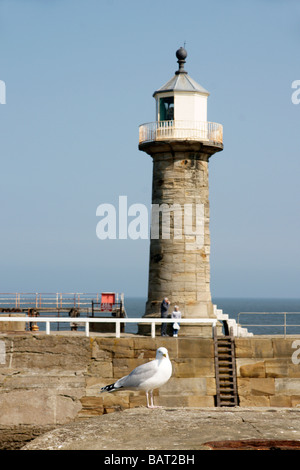 Phare et Seagull on Pier Whitby Whitby North Yorkshire Angleterre Royaume-uni (c) Marc Jackson Photography Banque D'Images