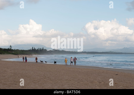 Les gens marcher les chiens sur la plage de Belongil Byron Bay NSW Australie Banque D'Images