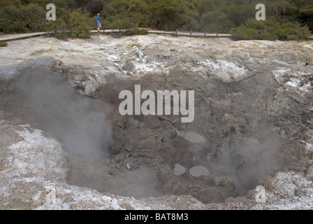 Wai-O-Tapu Thermal Wonderland près de Rotorua, Nouvelle-Zélande Banque D'Images