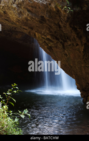 Cascade Pont naturel Parc national de Springbook Queensland Australie Banque D'Images
