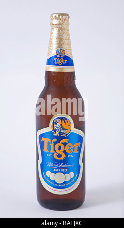 La bière 'tiger' 'tiger' bouteille tiger lager Banque D'Images