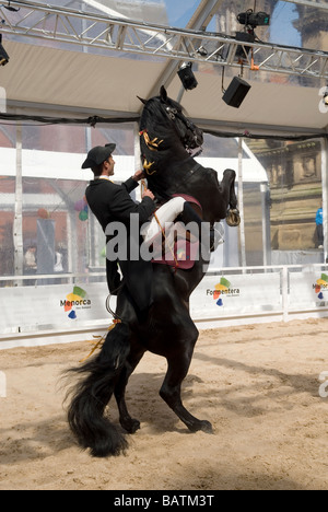 Dressage espagnol dans Albert Square Manchester UK Banque D'Images