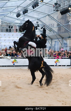 En dressage Albert Square Manchester UK Banque D'Images