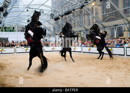 En dressage Albert Square Manchester UK Banque D'Images