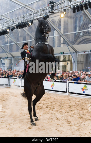 En dressage Albert Square Manchester UK Banque D'Images