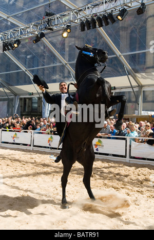 En dressage Albert Square Manchester UK Banque D'Images