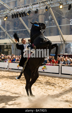 En dressage Albert Square Manchester UK Banque D'Images