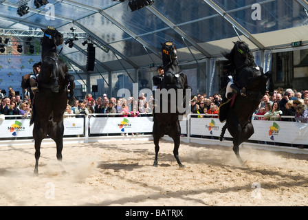 En dressage Albert Square Manchester UK Banque D'Images