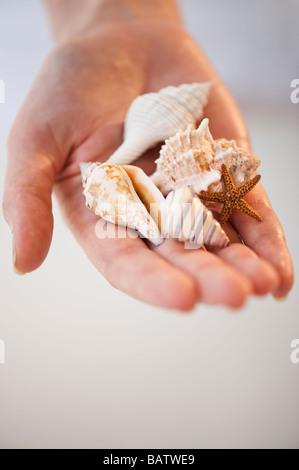 Close-up of seashells in woman's hand Banque D'Images