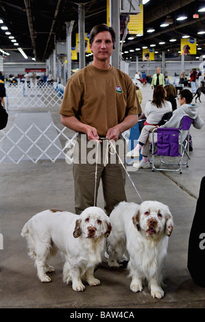 L'homme au Dog Show tenant la laisse de deux Clumber Spaniels à Louisville Kentucky Banque D'Images