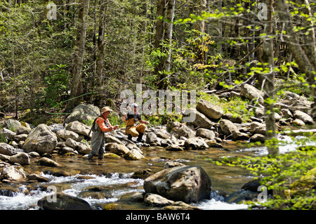 Les pêcheurs à la mouche La pêche sur la fourche au milieu de la Petite Rivière Pigeon Greenbrier Domaine des montagnes Great Smoky Tennessee Banque D'Images