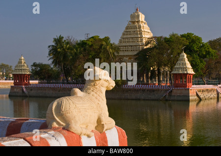 Mariammam Teppakulam Tank et culte Madurai Tamil Nadu Inde Banque D'Images