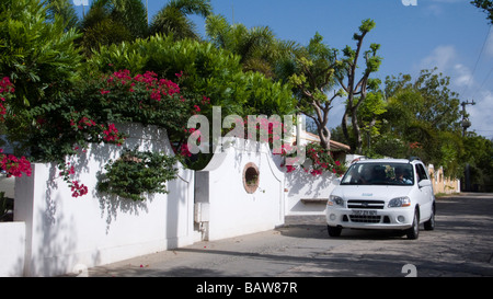 Petite voiture sur la route de l'île de bougainvilliers St Barts Banque D'Images