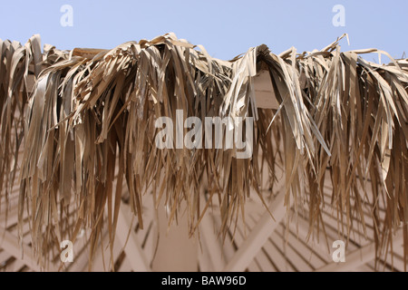 De gros plan de parasols de plage à Charm el Cheikh Banque D'Images