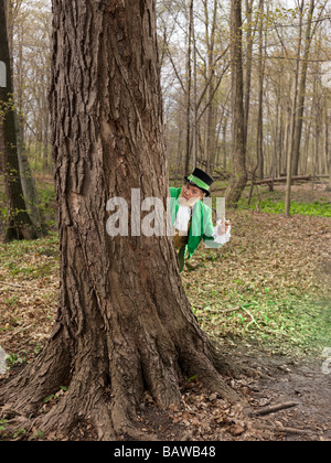 Leprechaun se cacher derrière un arbre Banque D'Images