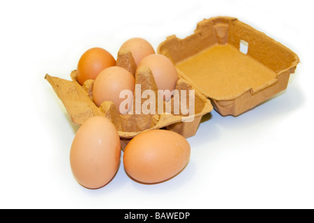 Oeufs et carton Banque D'Images