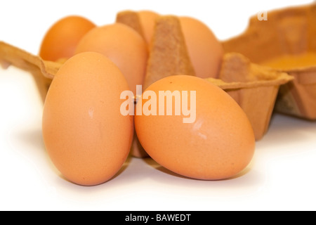 Oeufs et carton Banque D'Images