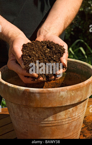 Gros plan de l'homme personne jardinier mettant le compost d'enrobage dans une terre cuite argile pot récipient de plante Angleterre Royaume-Uni Grande-Bretagne Banque D'Images