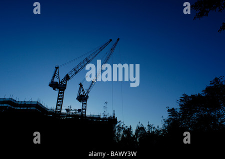 Grues à tour silhouetté sur chantier Banque D'Images