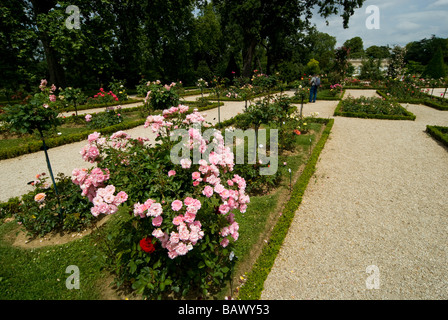 France, Paris, Bois de Boulogne, parc de Bagatelle, jardin des roses et l'orangerie Banque D'Images