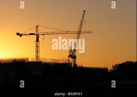 Grues à tour qui se profile à l'aube Banque D'Images