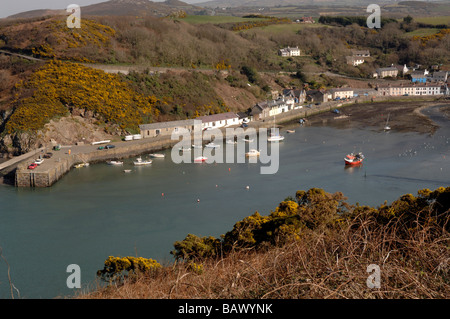 La basse-ville, Fishguard, Pembrokeshire Banque D'Images