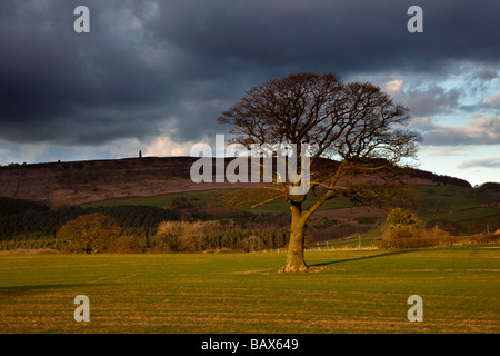 Captain Cooks Monument sur Moor d'Easby près de Great Ayton North Yorkshire Banque D'Images