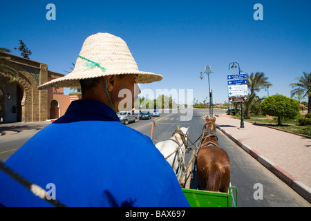 La conduite d'une calèche avec des chevaux dans la région de Marrakech Maroc tel qu'il est utilisé pour des tours touristiques Banque D'Images