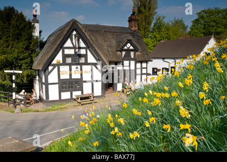 The White Lion Inn au printemps, Barthomley, Cheshire, England, UK Banque D'Images