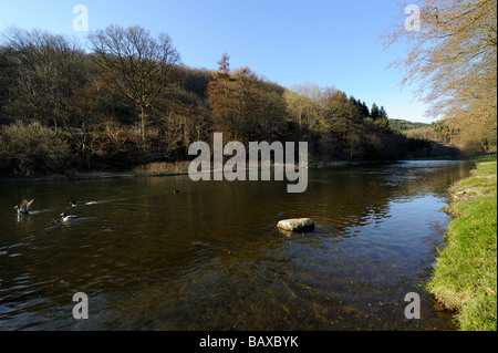 L'ourthe Maboge en Ardenne Belgique Banque D'Images
