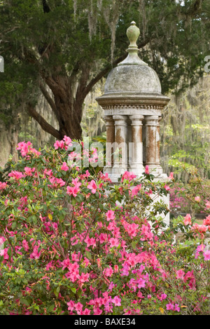 Cimetière Bonaventure à Savannah en Géorgie Banque D'Images