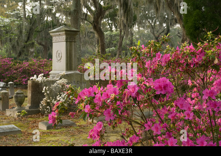 Cimetière Bonaventure à Savannah en Géorgie Banque D'Images