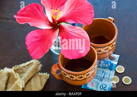 Une fleur d'hibiscus rose et deux tasses de café vide avec paiement en pesos . Banque D'Images