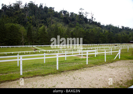 ferme équestre Banque D'Images